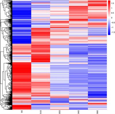 Proteome changes of sheep rumen epithelium during postnatal development